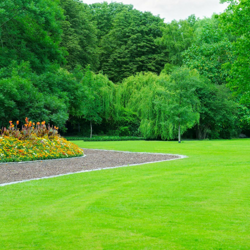 green grass with landscaping